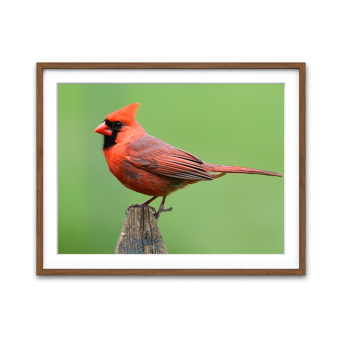 Framed Print 4x3 Walnut