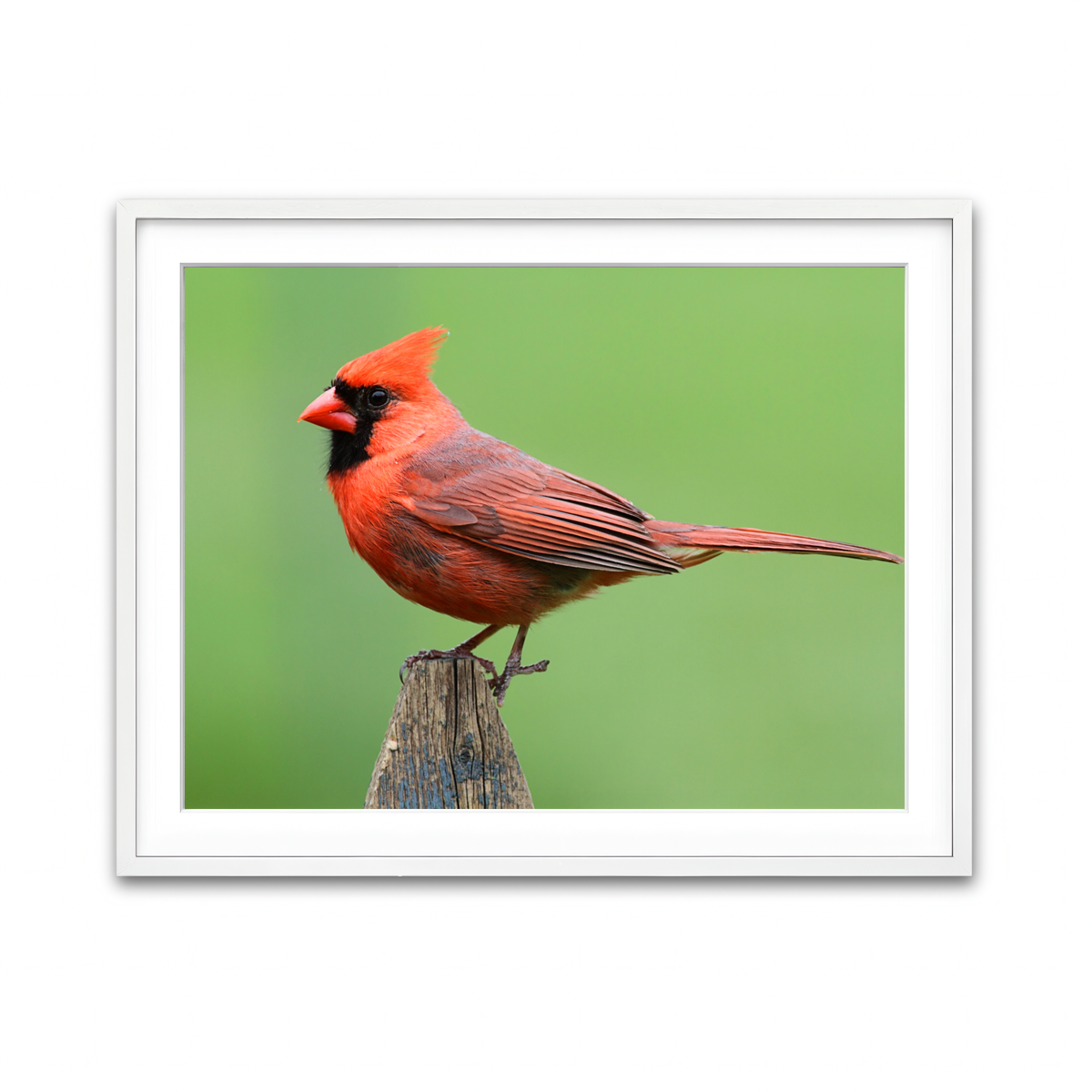 Framed Print 4x3 White