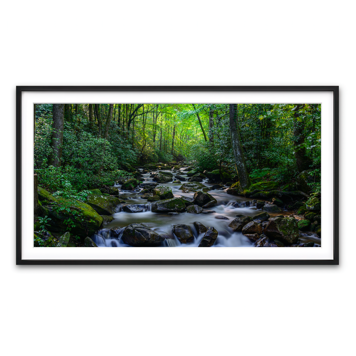 Framed Print 2x1 Black