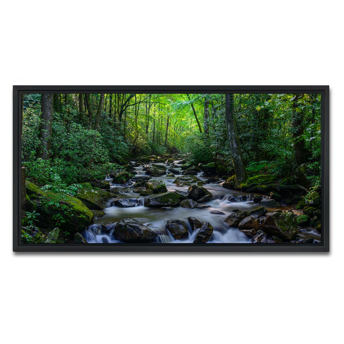 AUTO-MOCKUP WHITE | Mariatta South Carolina | 1 Piece | Black Framed Canvas | group=2x1