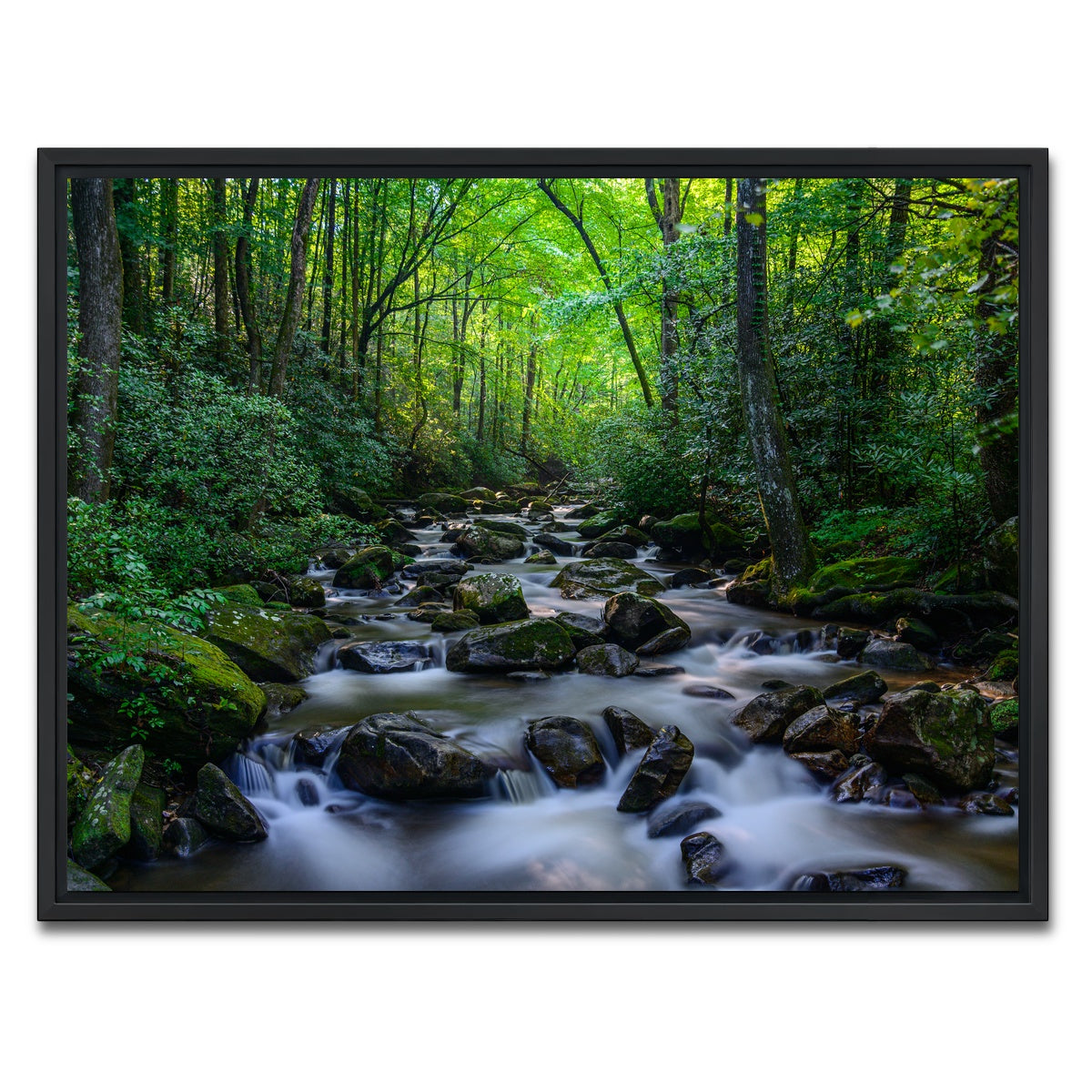 AUTO-MOCKUP WHITE | Mariatta South Carolina | 1 Piece | Black Framed Canvas | group=4x3
