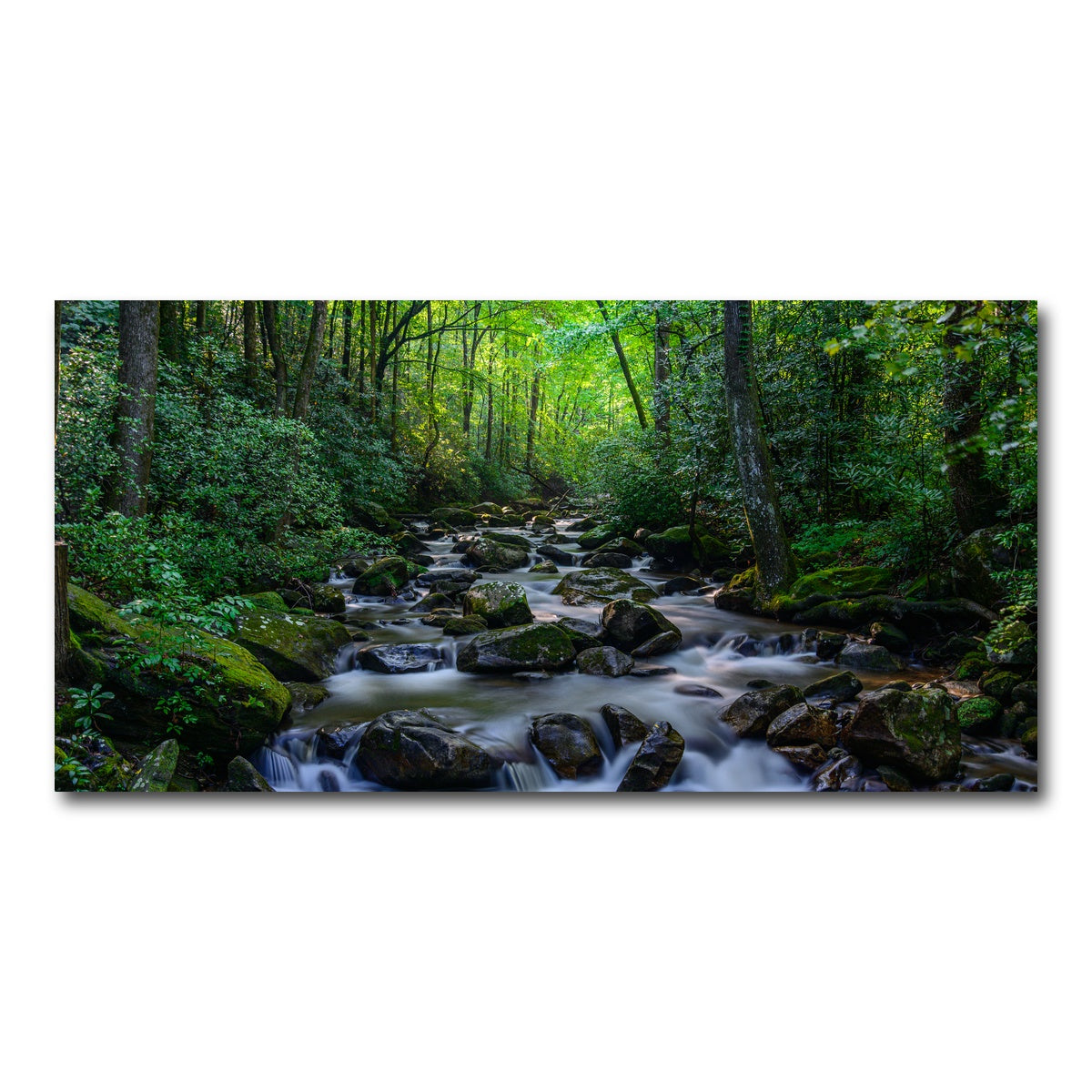 AUTO-MOCKUP WHITE | Mariatta South Carolina | 1 Piece | Gallery Wrap Canvas | group=2x1