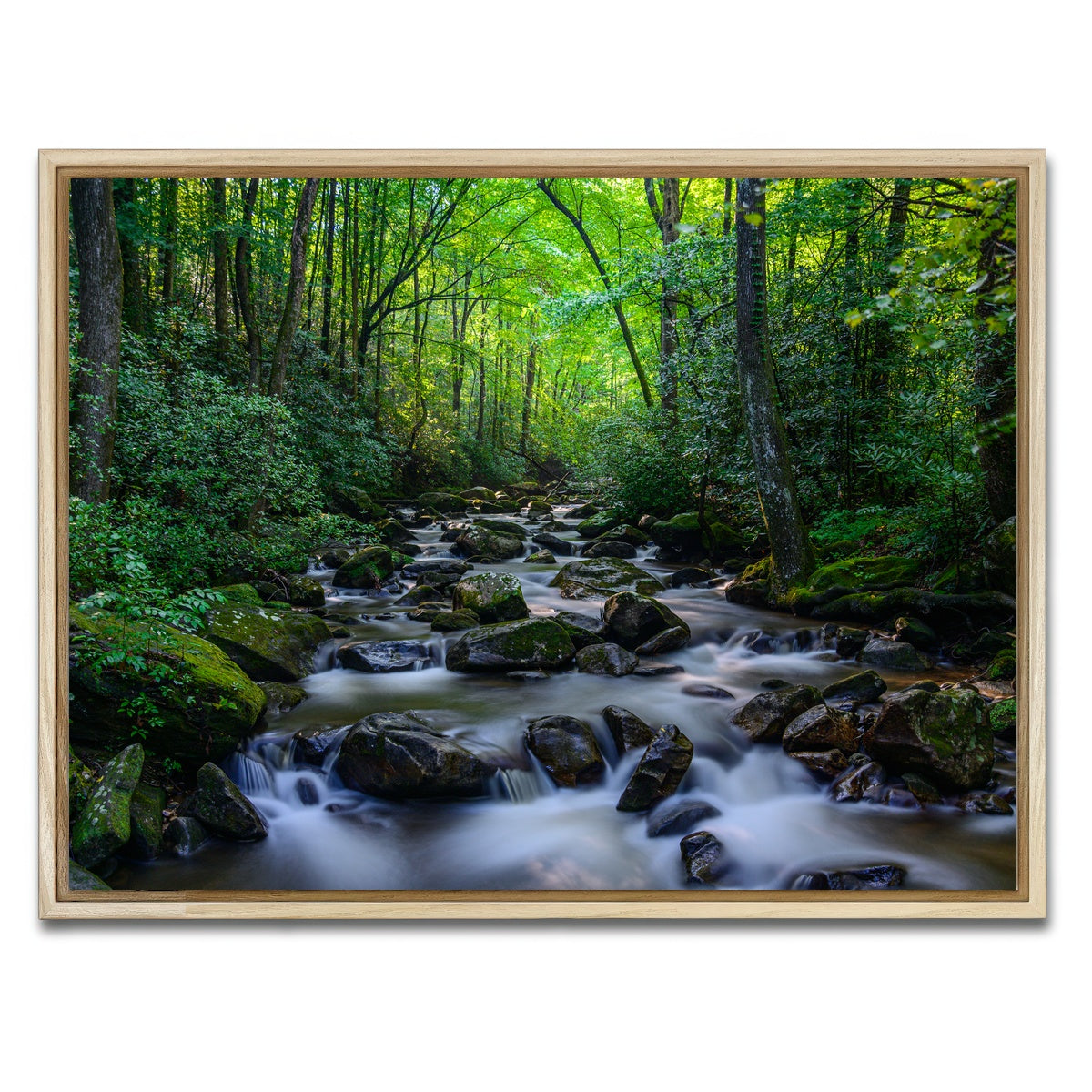 AUTO-MOCKUP WHITE | Mariatta South Carolina | 1 Piece | Natural Framed Canvas | group=4x3