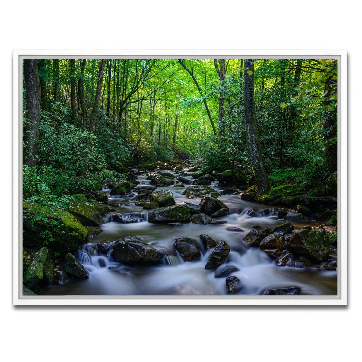 AUTO-MOCKUP WHITE | Mariatta South Carolina | 1 Piece | White Framed Canvas | group=4x3