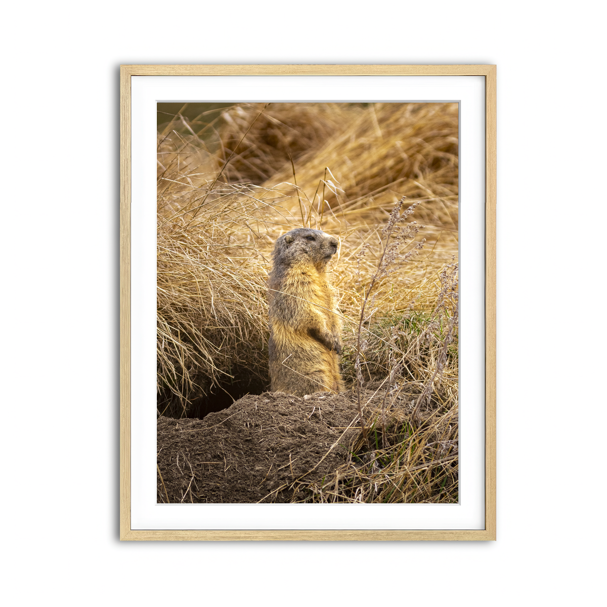 Framed Print 3x4 Natural