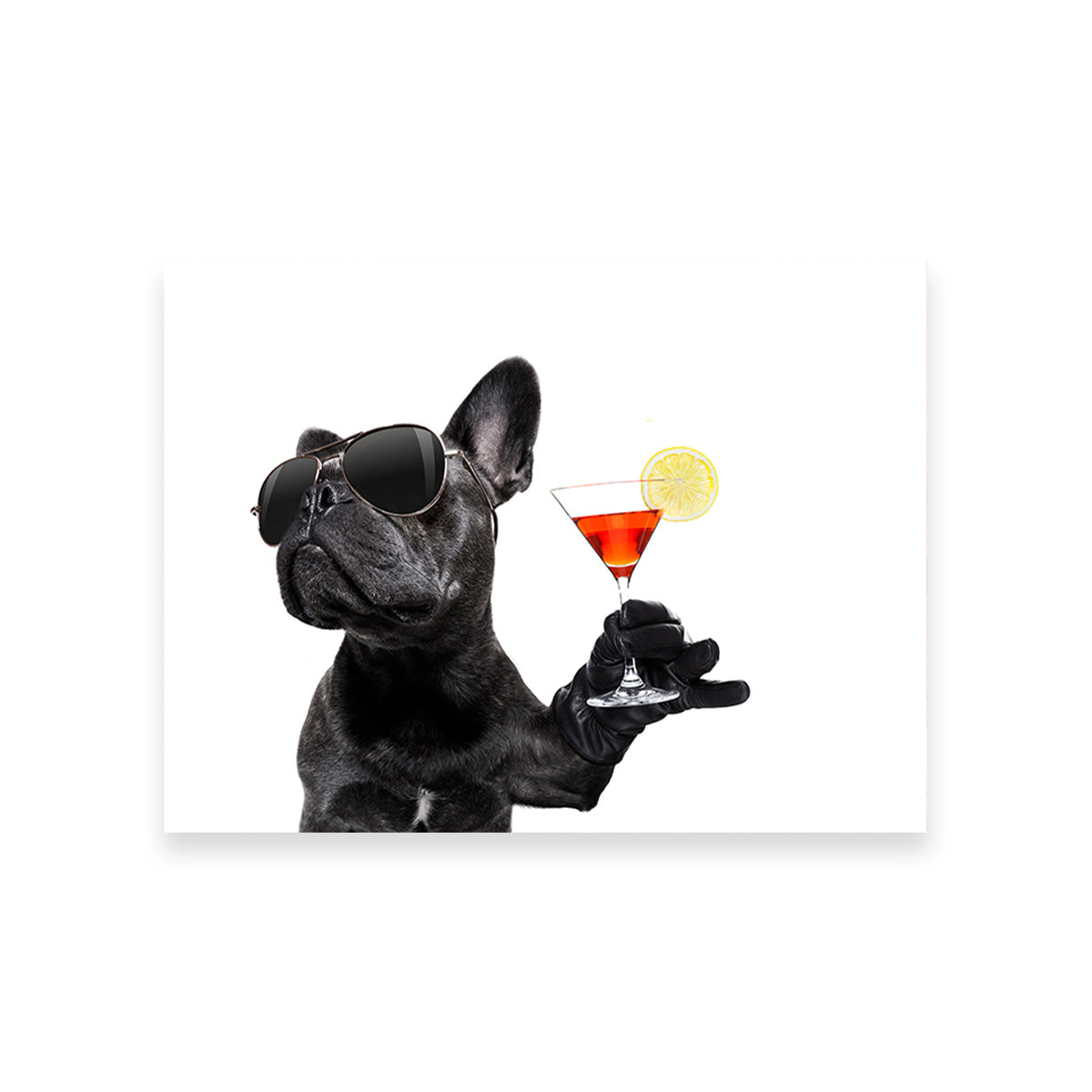 Martini Dog Wall Art