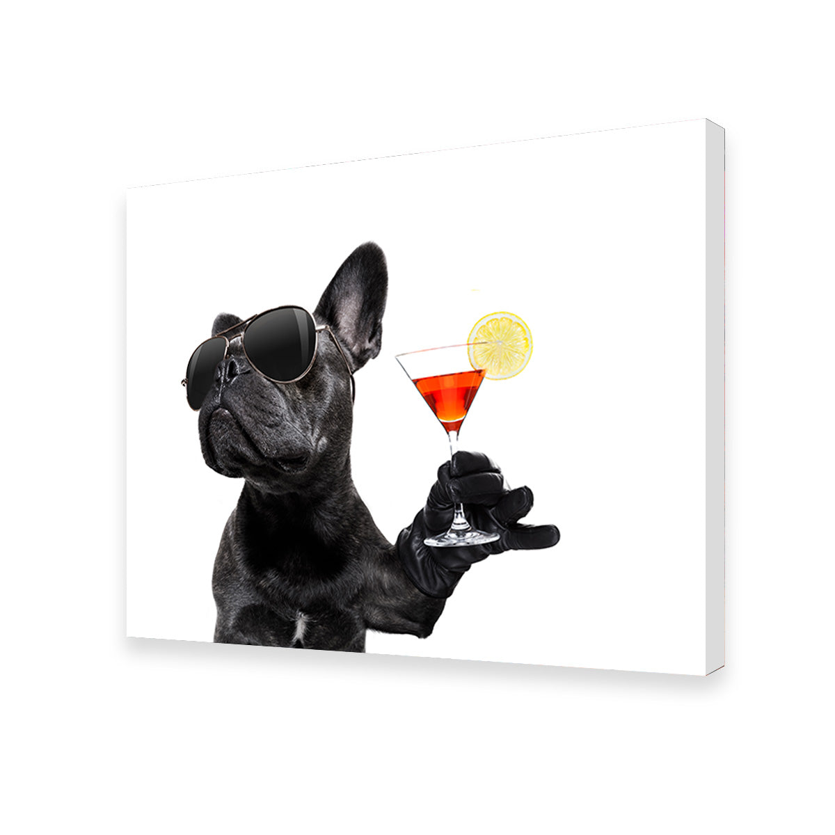 Martini Dog Wall Art