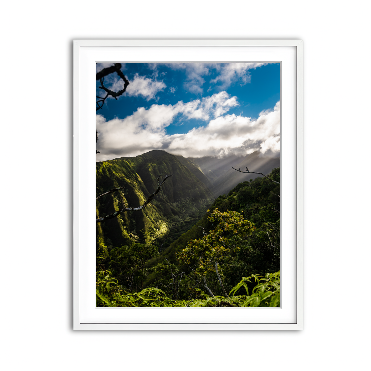 Framed Print 3x4 White