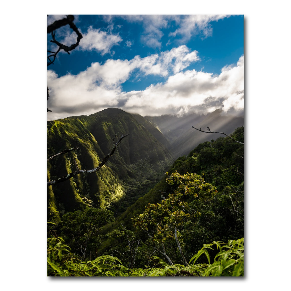 AUTO-MOCKUP WHITE | Maui Landscape | 1 Piece | Gallery Wrap Canvas | group=3x4
