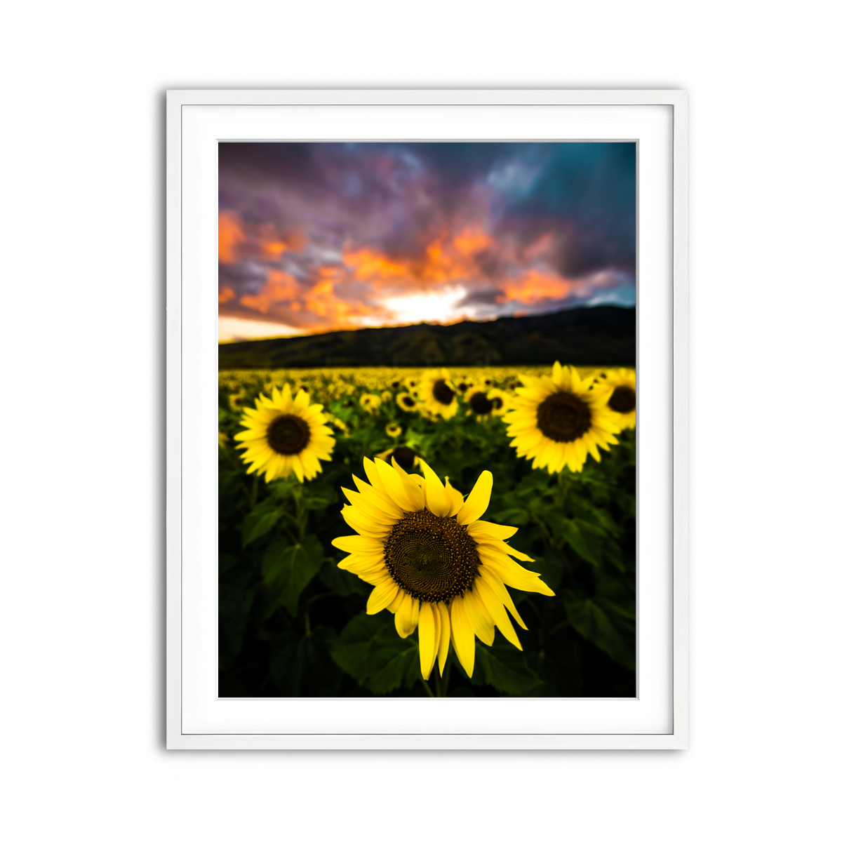 Framed Print 3x4 White