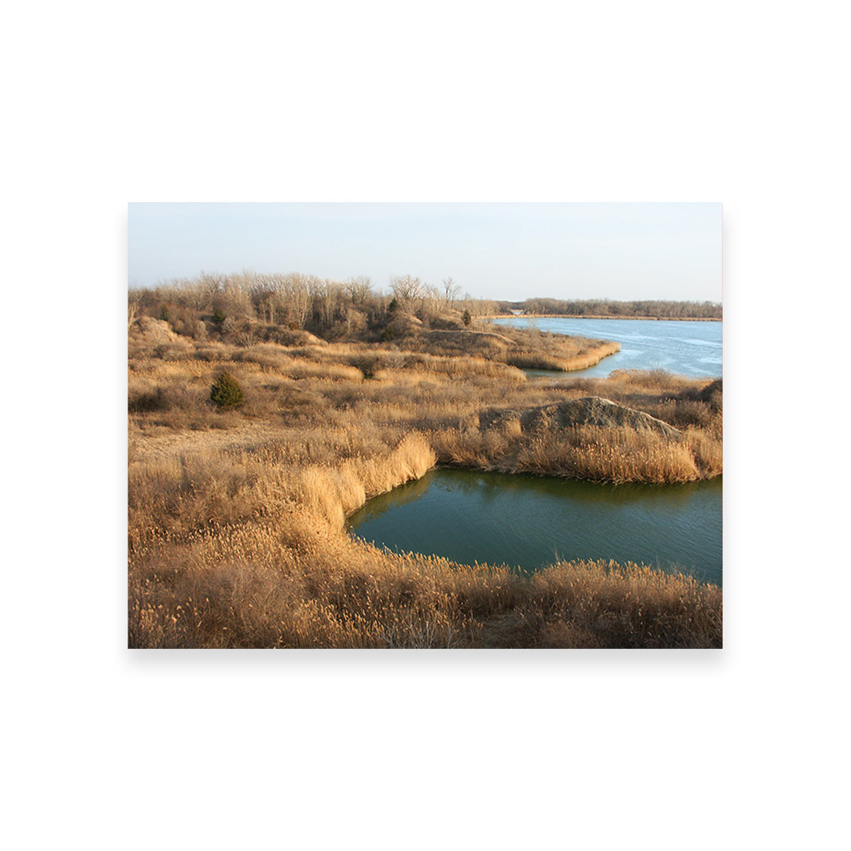 Mazonia Braidwood State Fish and Wildlife Area Wall Art