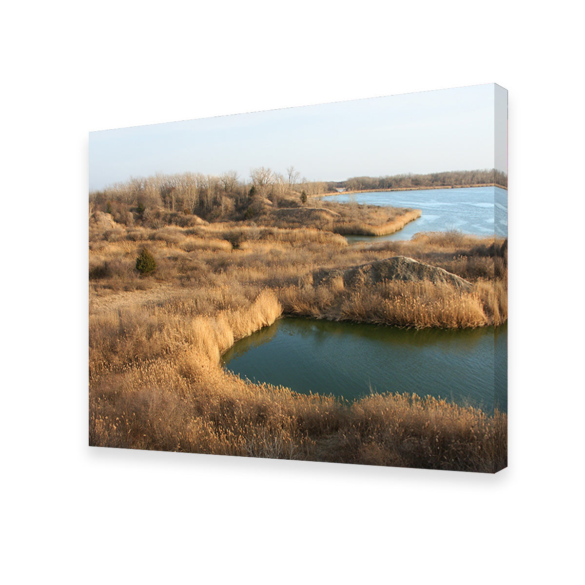 Mazonia Braidwood State Fish and Wildlife Area Wall Art