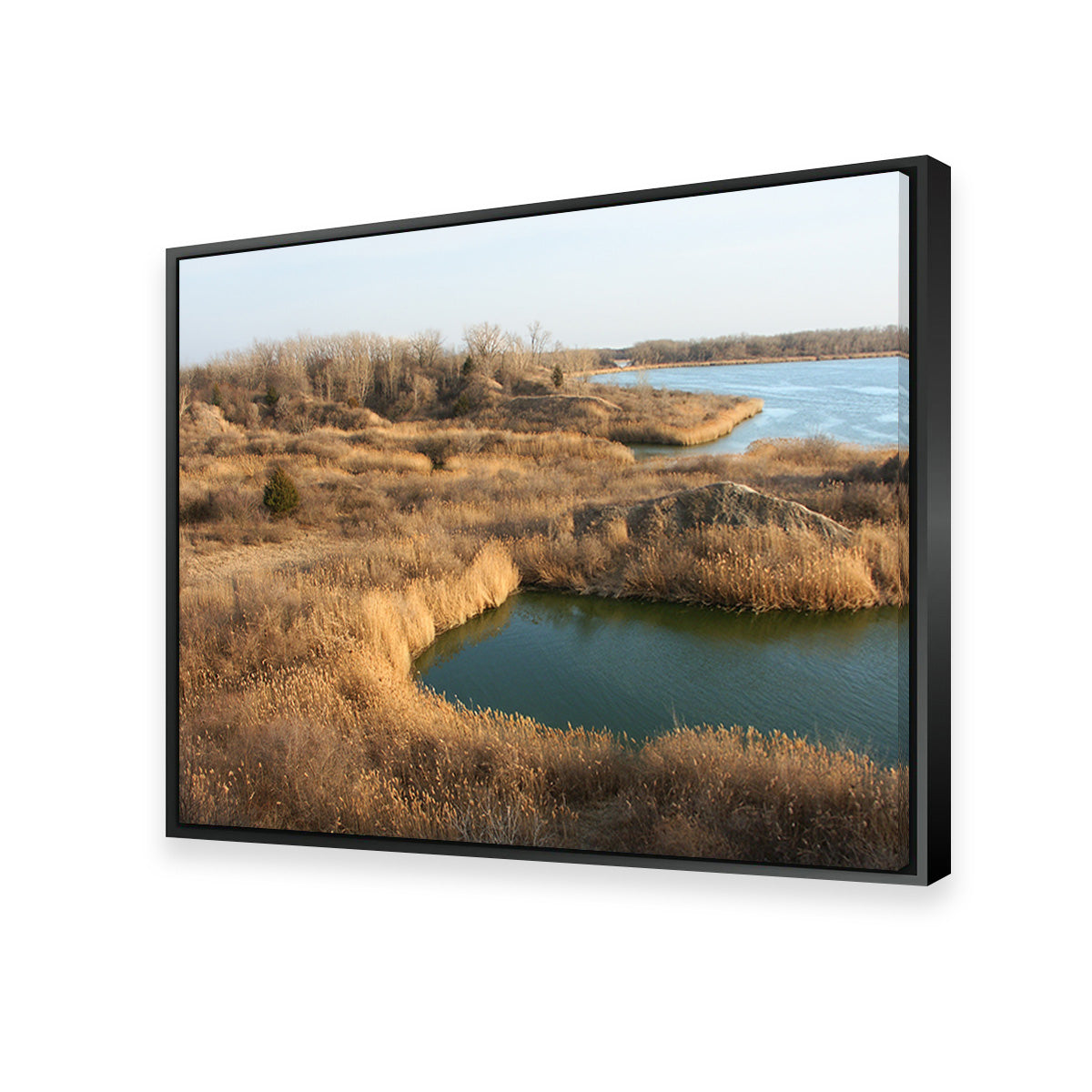 Mazonia Braidwood State Fish and Wildlife Area Wall Art