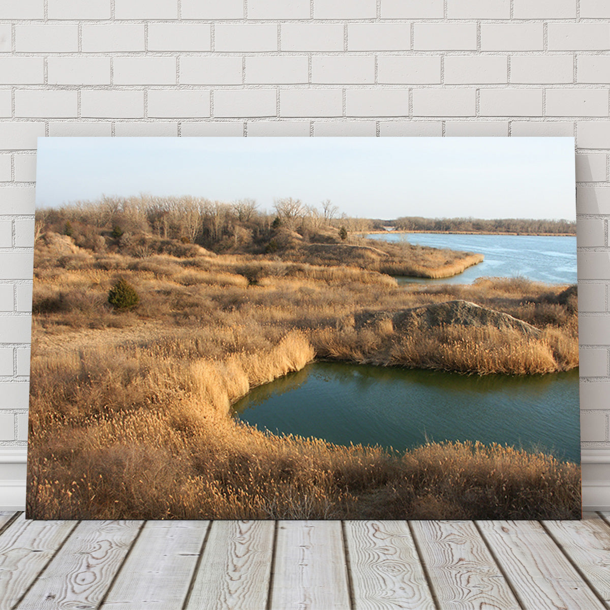 Mazonia Braidwood State Fish and Wildlife Area Wall Art