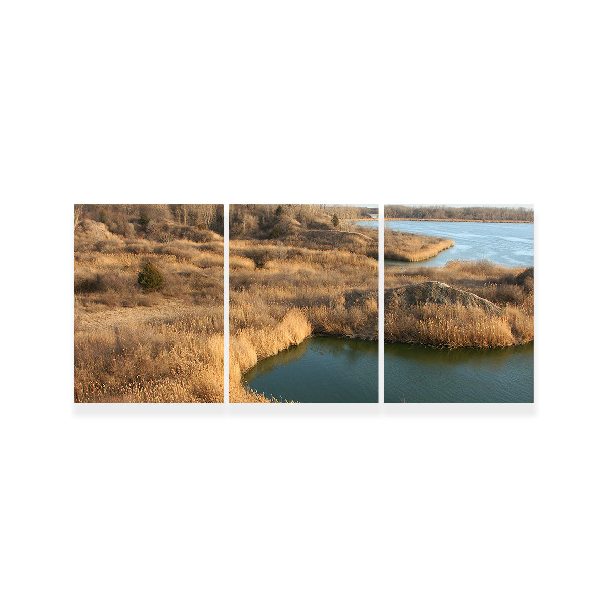 Mazonia Braidwood State Fish and Wildlife Area Wall Art
