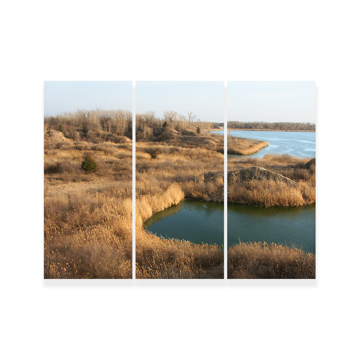 Mazonia Braidwood State Fish and Wildlife Area Wall Art