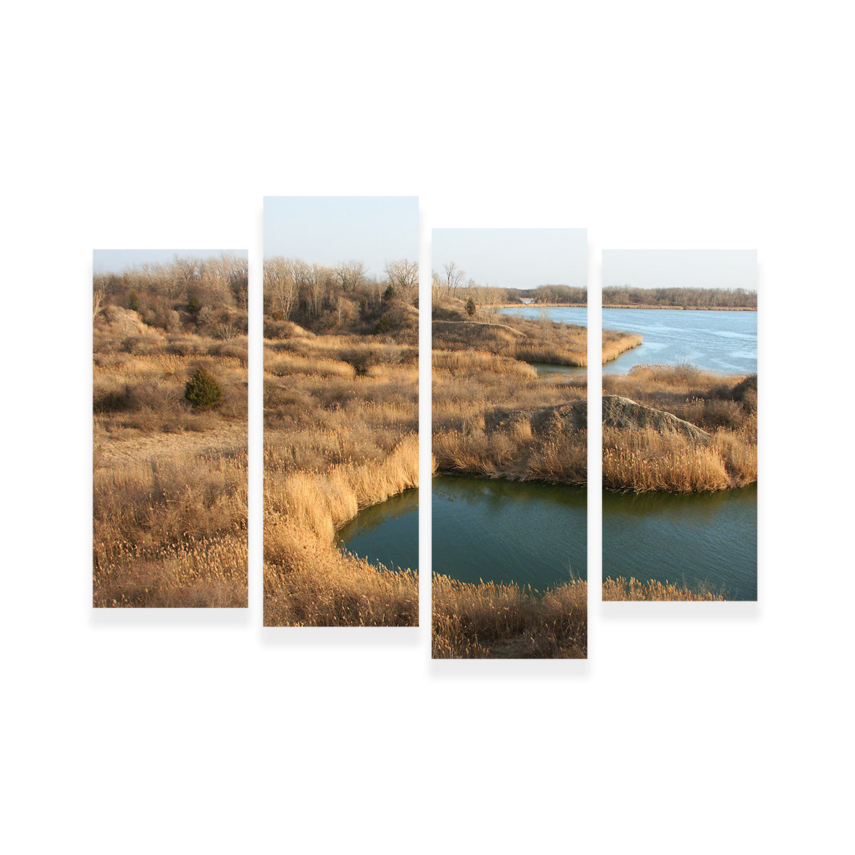 Mazonia Braidwood State Fish and Wildlife Area Wall Art