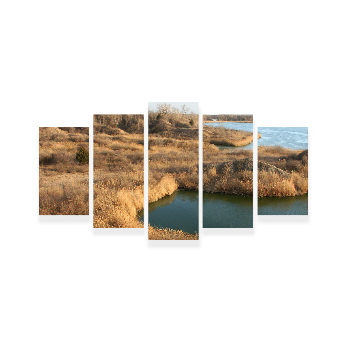 Mazonia Braidwood State Fish and Wildlife Area Wall Art