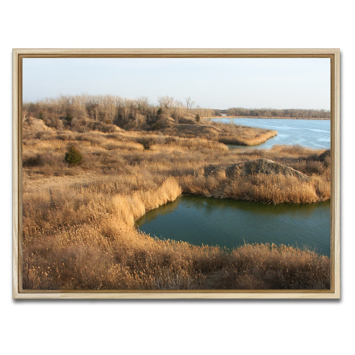 AUTO-MOCKUP WHITE | Mazonia Braidwood State Fish and Wildlife Area | 1 Piece | Natural Framed Canvas | group=4x3