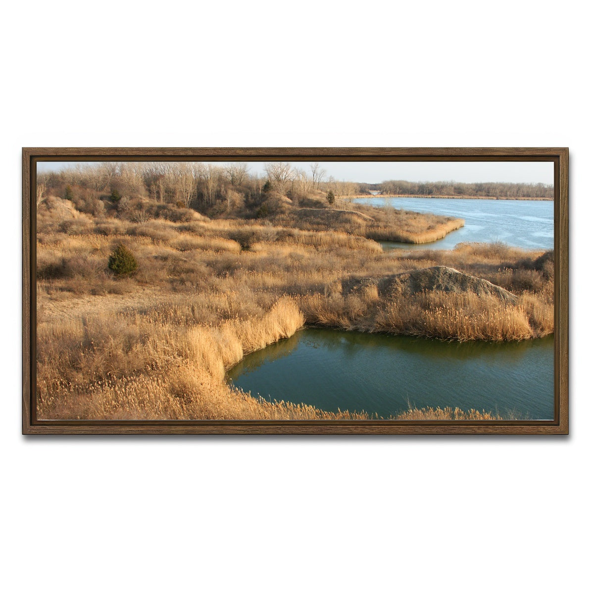 AUTO-MOCKUP WHITE | Mazonia Braidwood State Fish and Wildlife Area | 1 Piece | Walnut Framed Canvas | group=2x1