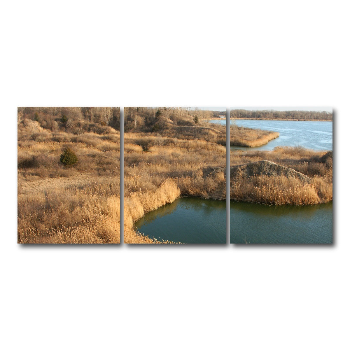 AUTO-MOCKUP WHITE | Mazonia Braidwood State Fish and Wildlife Area | 3 Piece | Gallery Wrap Canvas | group=18x24
