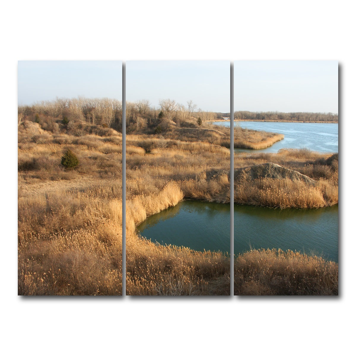 AUTO-MOCKUP WHITE | Mazonia Braidwood State Fish and Wildlife Area | 3 Piece | Gallery Wrap Canvas | group=8x18
