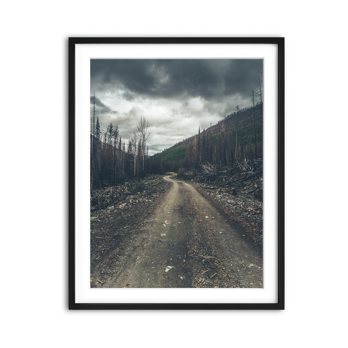 Framed Print 3x4 Black