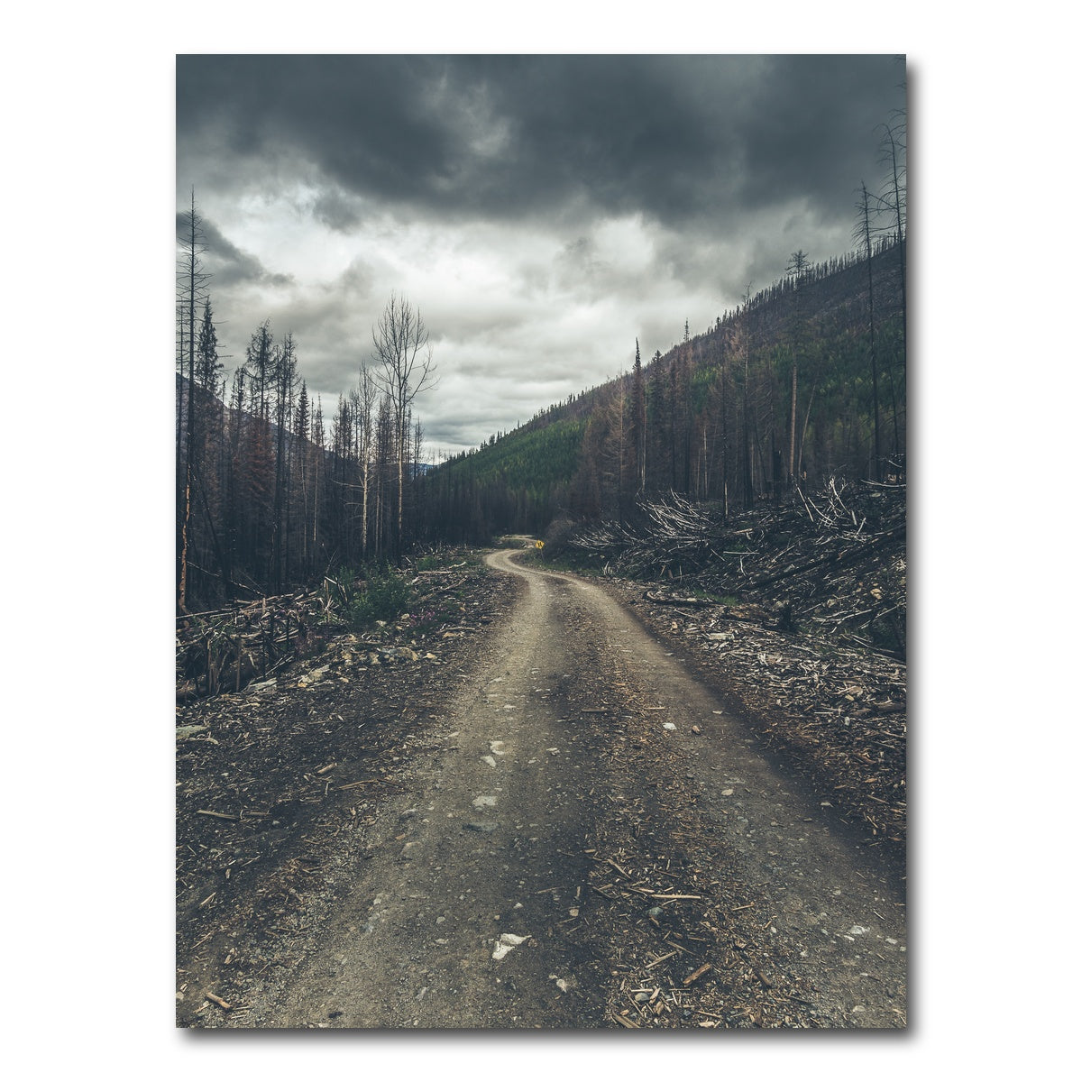 AUTO-MOCKUP WHITE | Meachen FSR | 1 Piece | Gallery Wrap Canvas | group=3x4