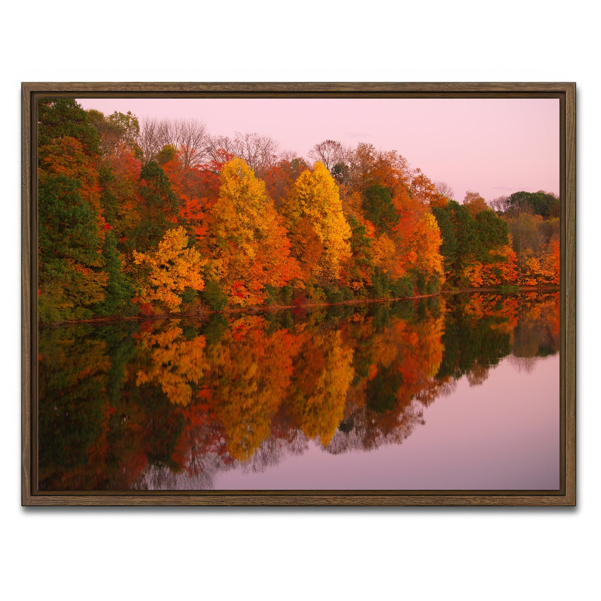 AUTO-MOCKUP WHITE | Mirrored Autumn Twilight at Lake Nockamixon | 1 Piece | Walnut Framed Canvas | group=4x3