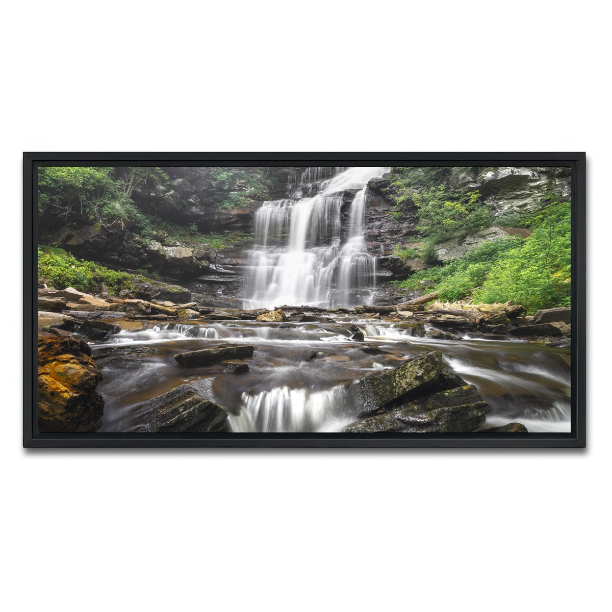 AUTO-MOCKUP WHITE | Misty Monster | 1 Piece | Black Framed Canvas | group=2x1