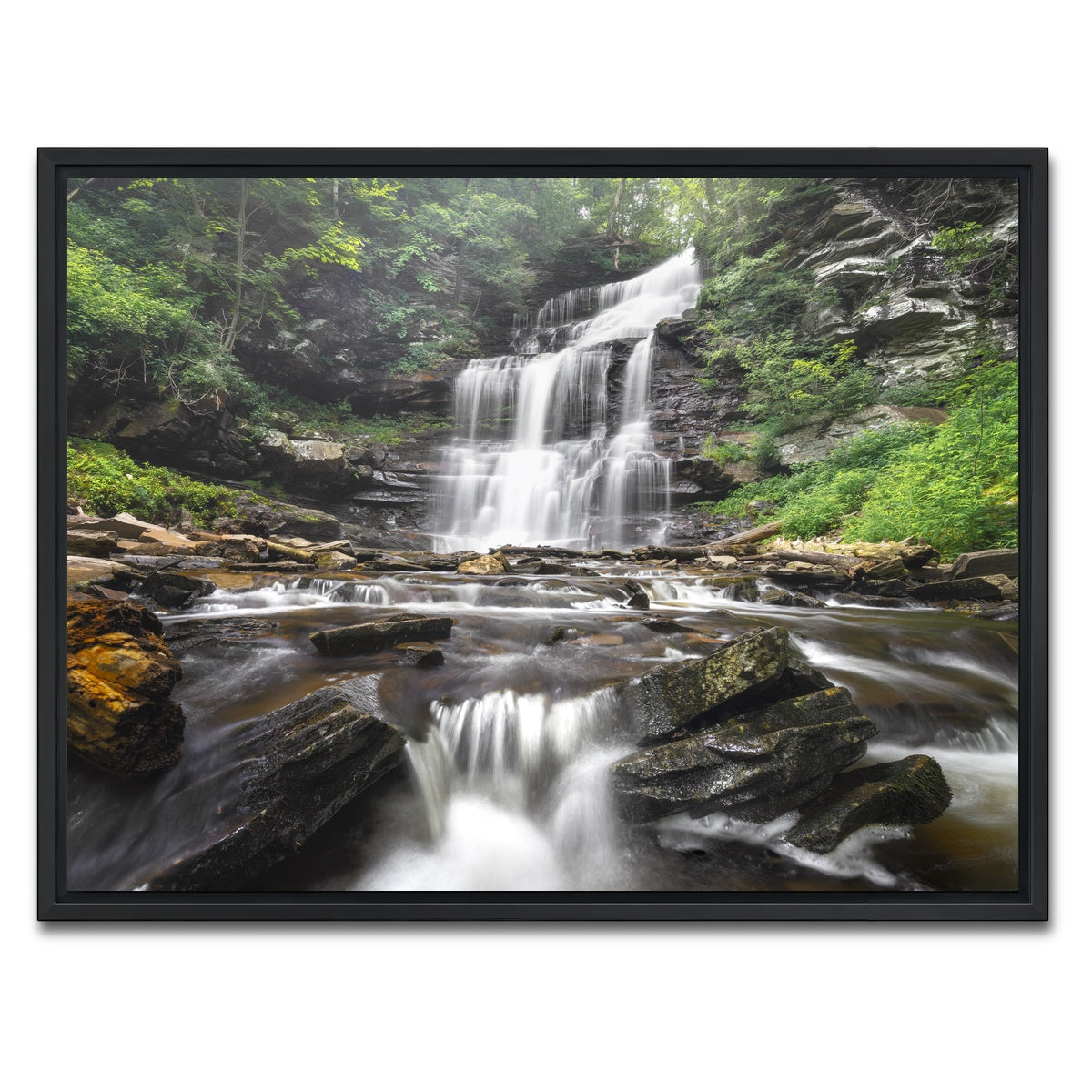 AUTO-MOCKUP WHITE | Misty Monster | 1 Piece | Black Framed Canvas | group=4x3