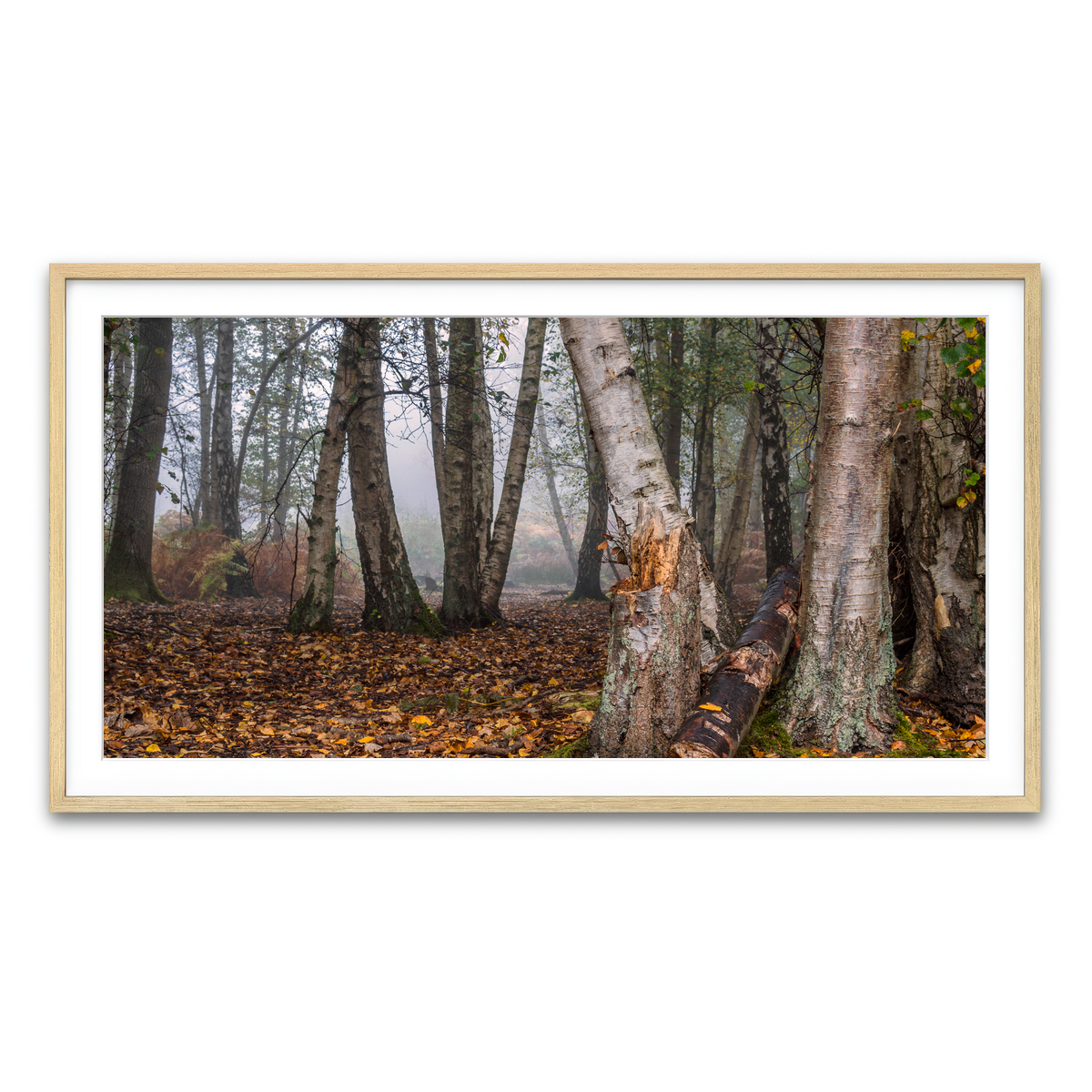 Framed Print 2x1 Natural