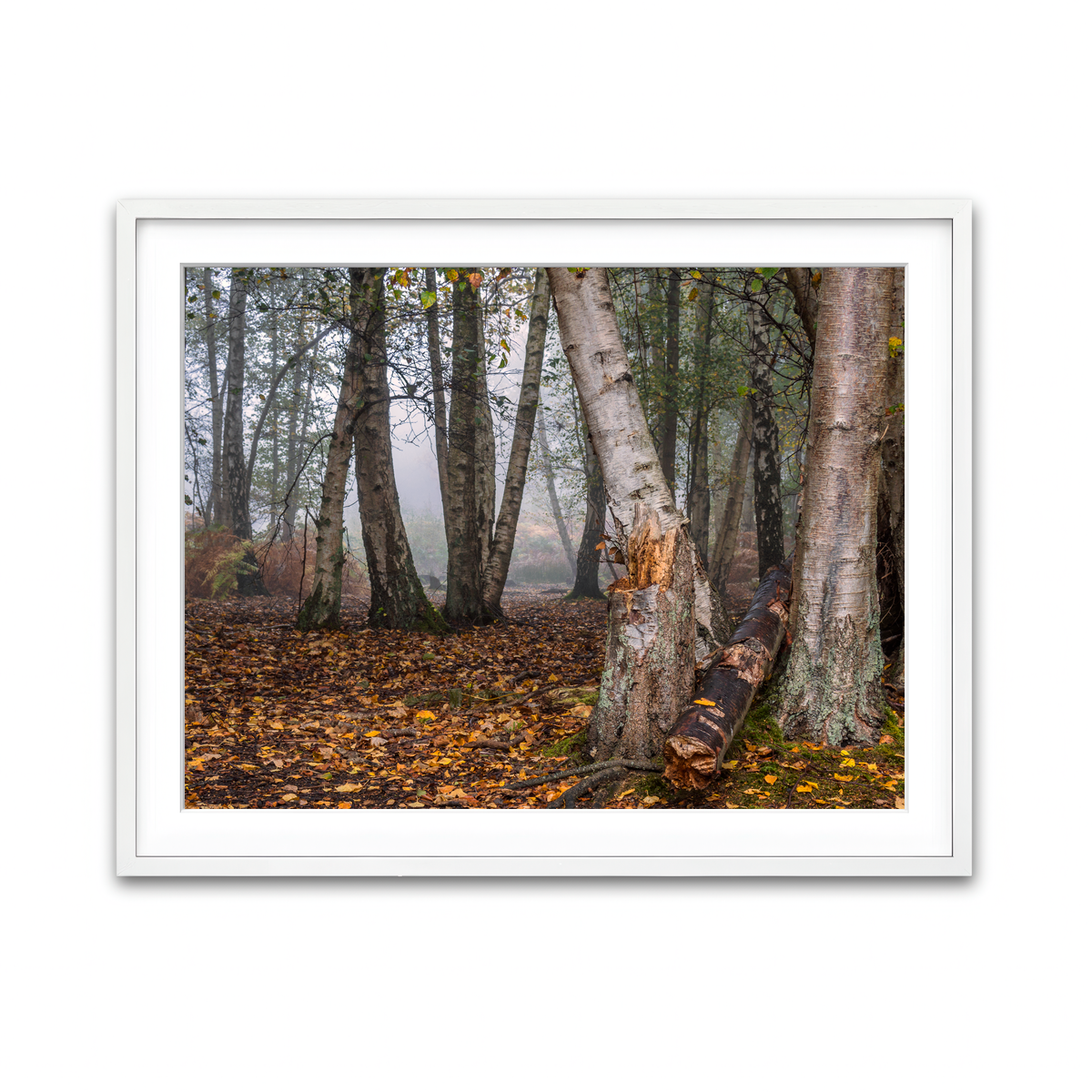 Framed Print 4x3 White