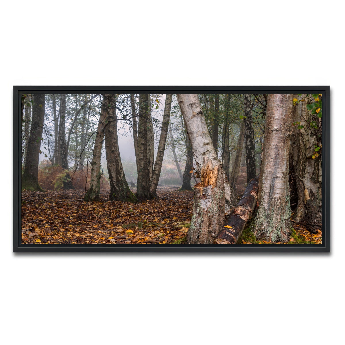 AUTO-MOCKUP WHITE | Misty Morning | 1 Piece | Black Framed Canvas | group=2x1