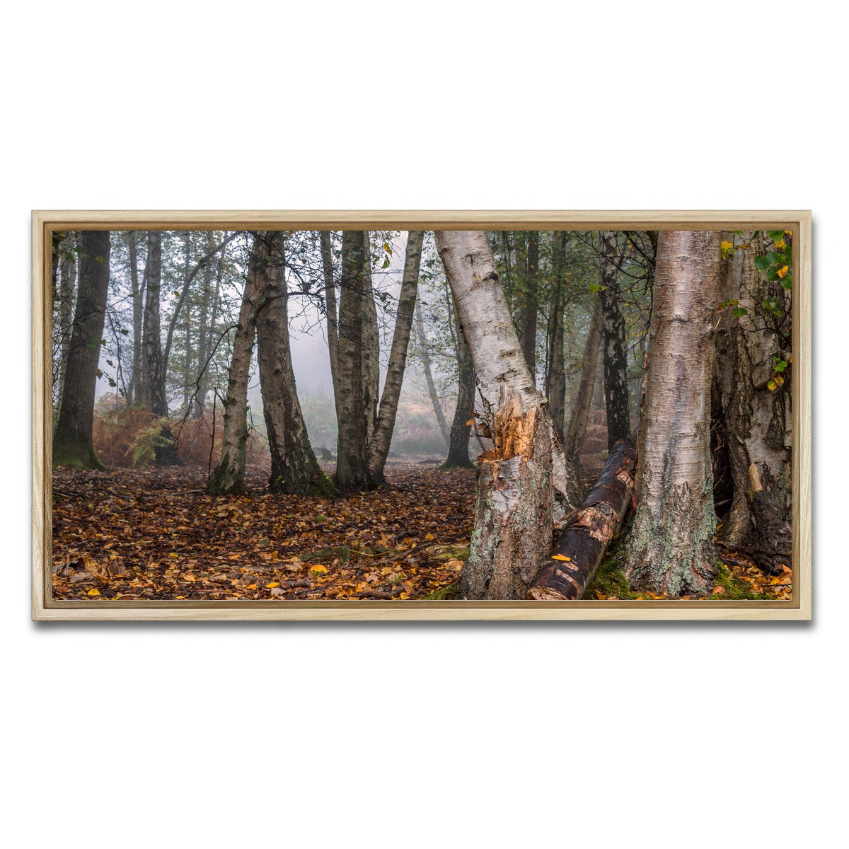 AUTO-MOCKUP WHITE | Misty Morning | 1 Piece | Natural Framed Canvas | group=2x1