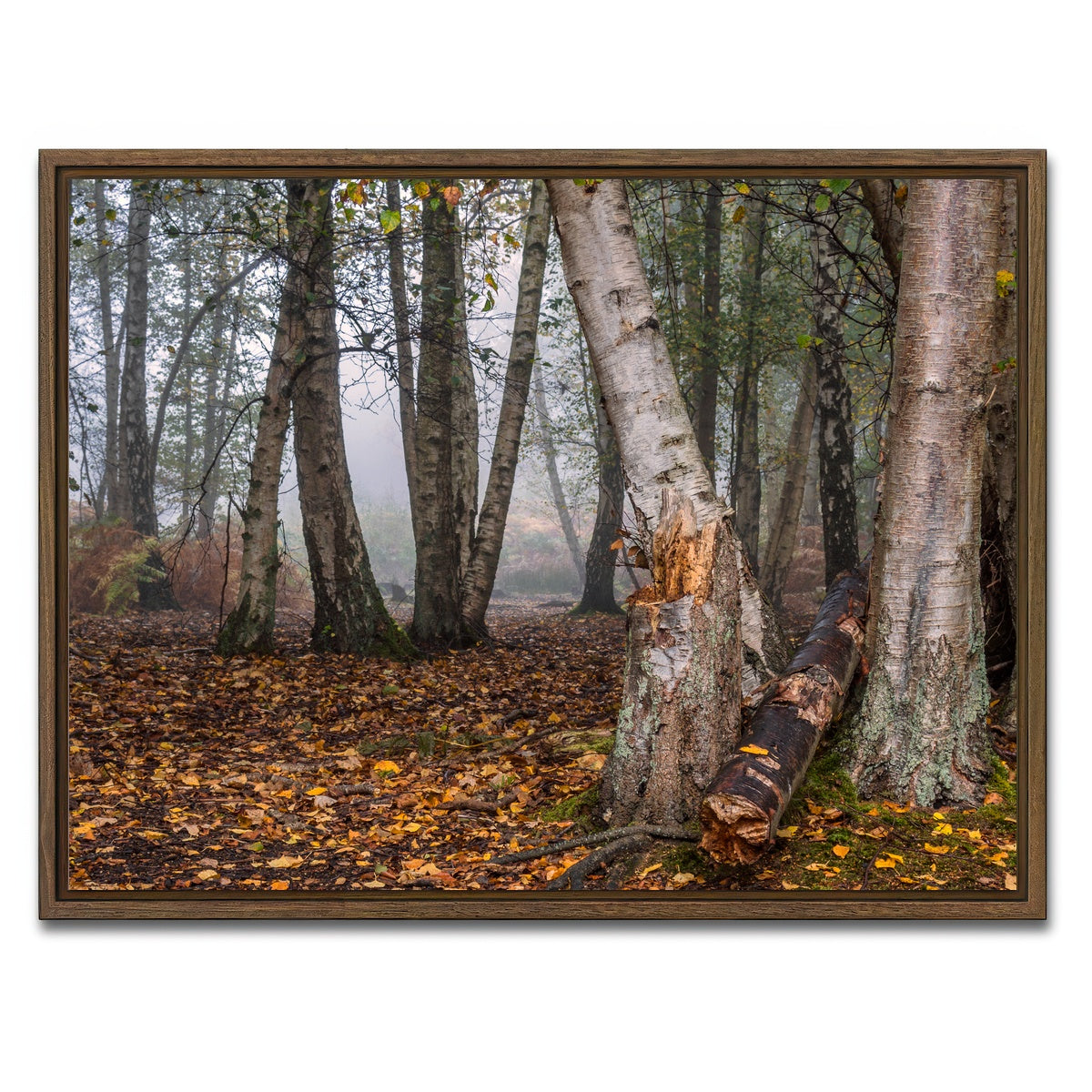 AUTO-MOCKUP WHITE | Misty Morning | 1 Piece | Walnut Framed Canvas | group=4x3