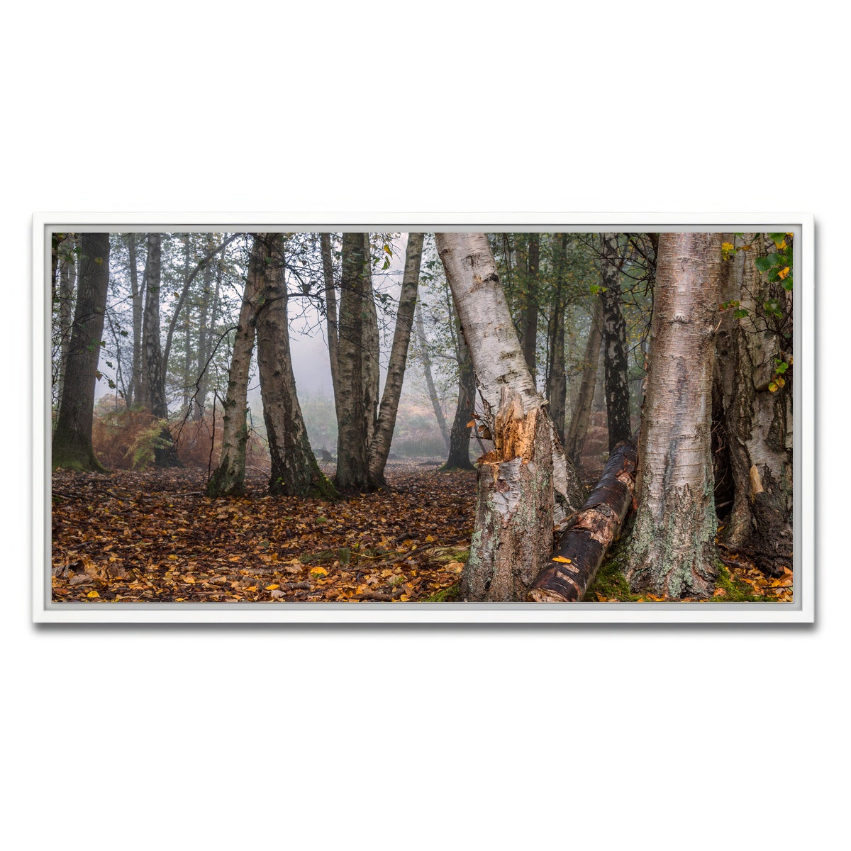 AUTO-MOCKUP WHITE | Misty Morning | 1 Piece | White Framed Canvas | group=2x1