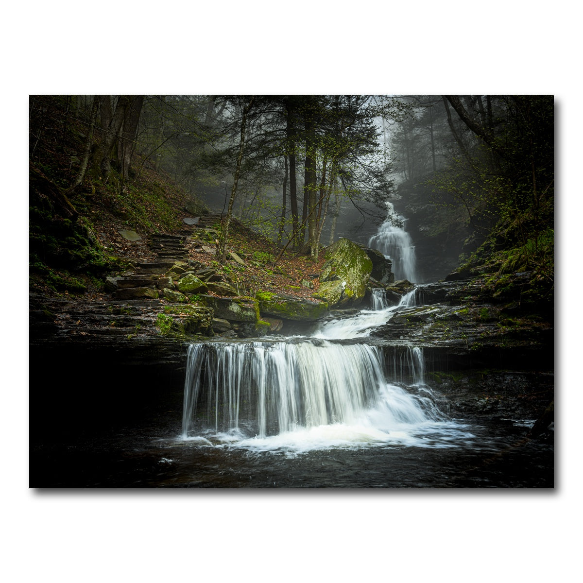 AUTO-MOCKUP WHITE | Misty Steps | 1 Piece | Gallery Wrap Canvas | group=4x3