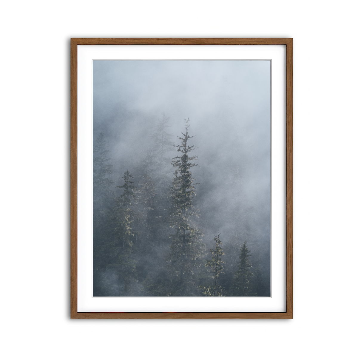 Framed Print 3x4 Walnut