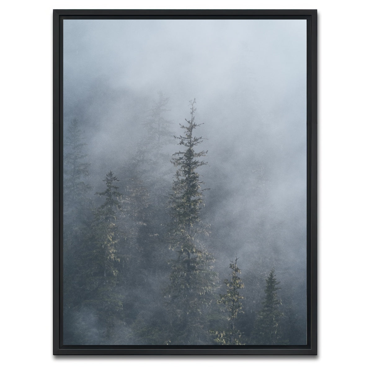 AUTO-MOCKUP WHITE | Misty Trees 2 | 1 Piece | Black Framed Canvas | group=3x4