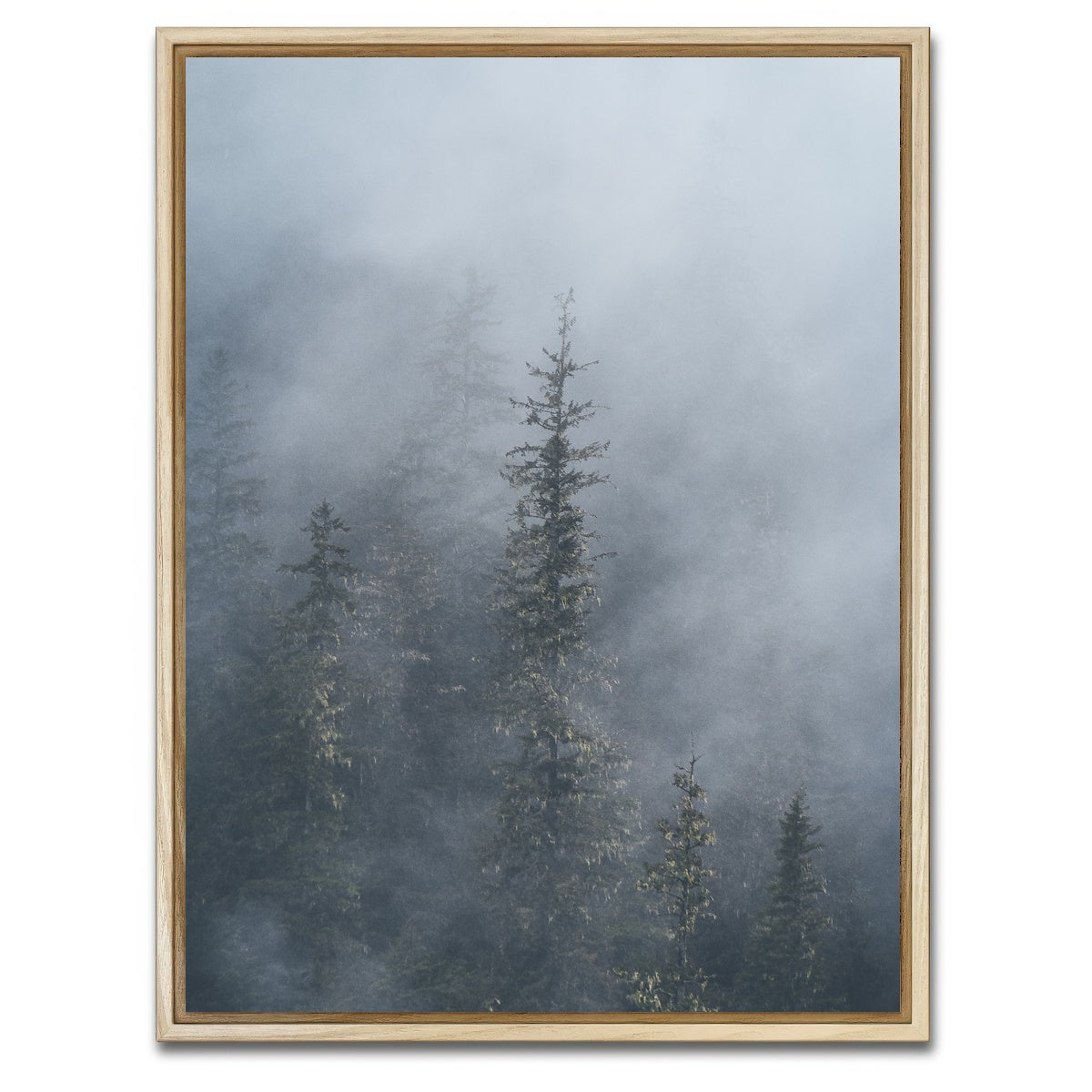 AUTO-MOCKUP WHITE | Misty Trees 2 | 1 Piece | Natural Framed Canvas | group=3x4