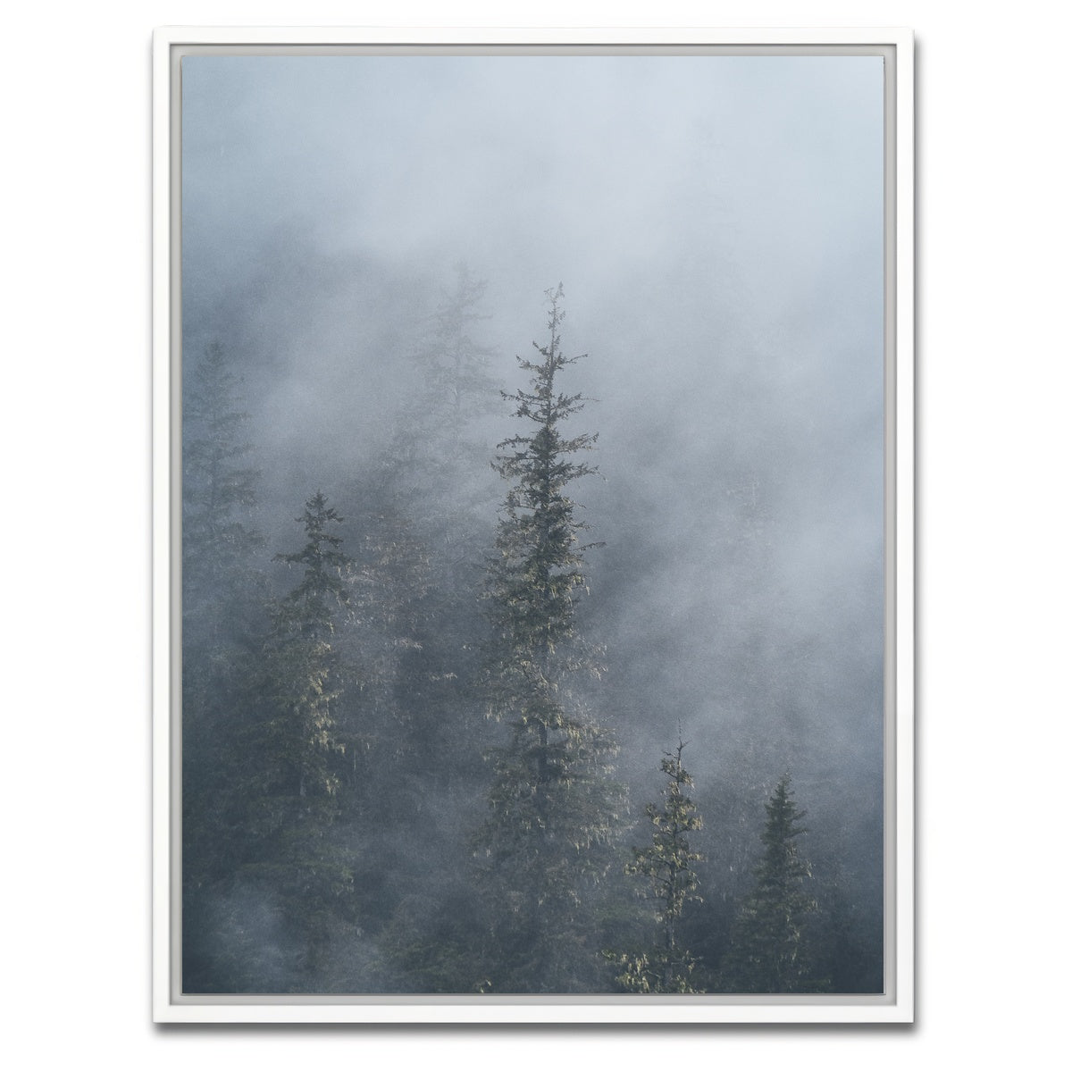 AUTO-MOCKUP WHITE | Misty Trees 2 | 1 Piece | White Framed Canvas | group=3x4
