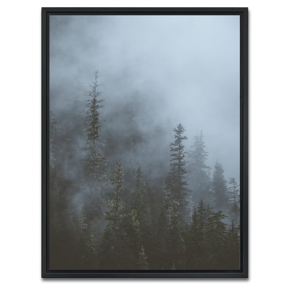 AUTO-MOCKUP WHITE | Misty Trees 3 | 1 Piece | Black Framed Canvas | group=3x4
