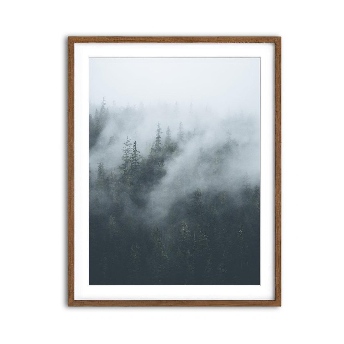 Framed Print 3x4 Walnut