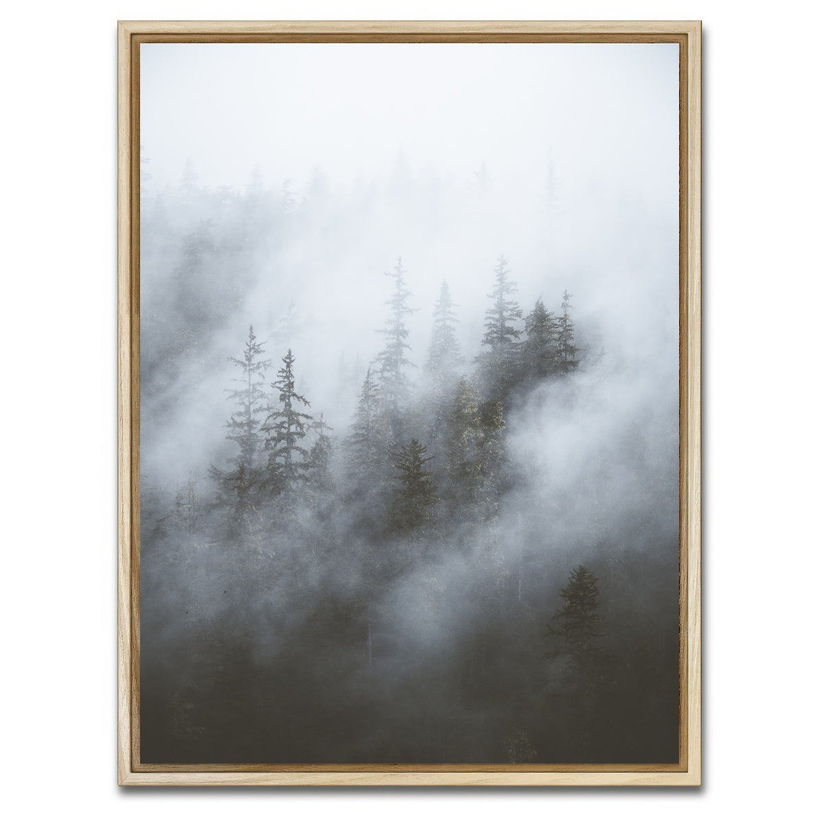AUTO-MOCKUP WHITE | Misty Trees | 1 Piece | Natural Framed Canvas | group=3x4