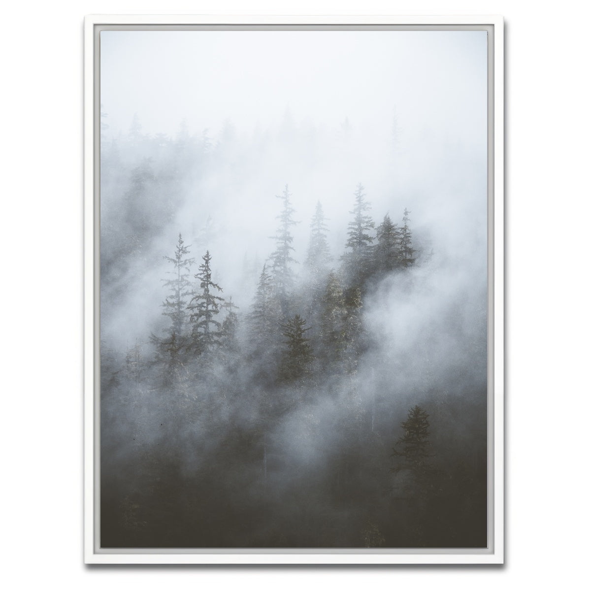 AUTO-MOCKUP WHITE | Misty Trees | 1 Piece | White Framed Canvas | group=3x4