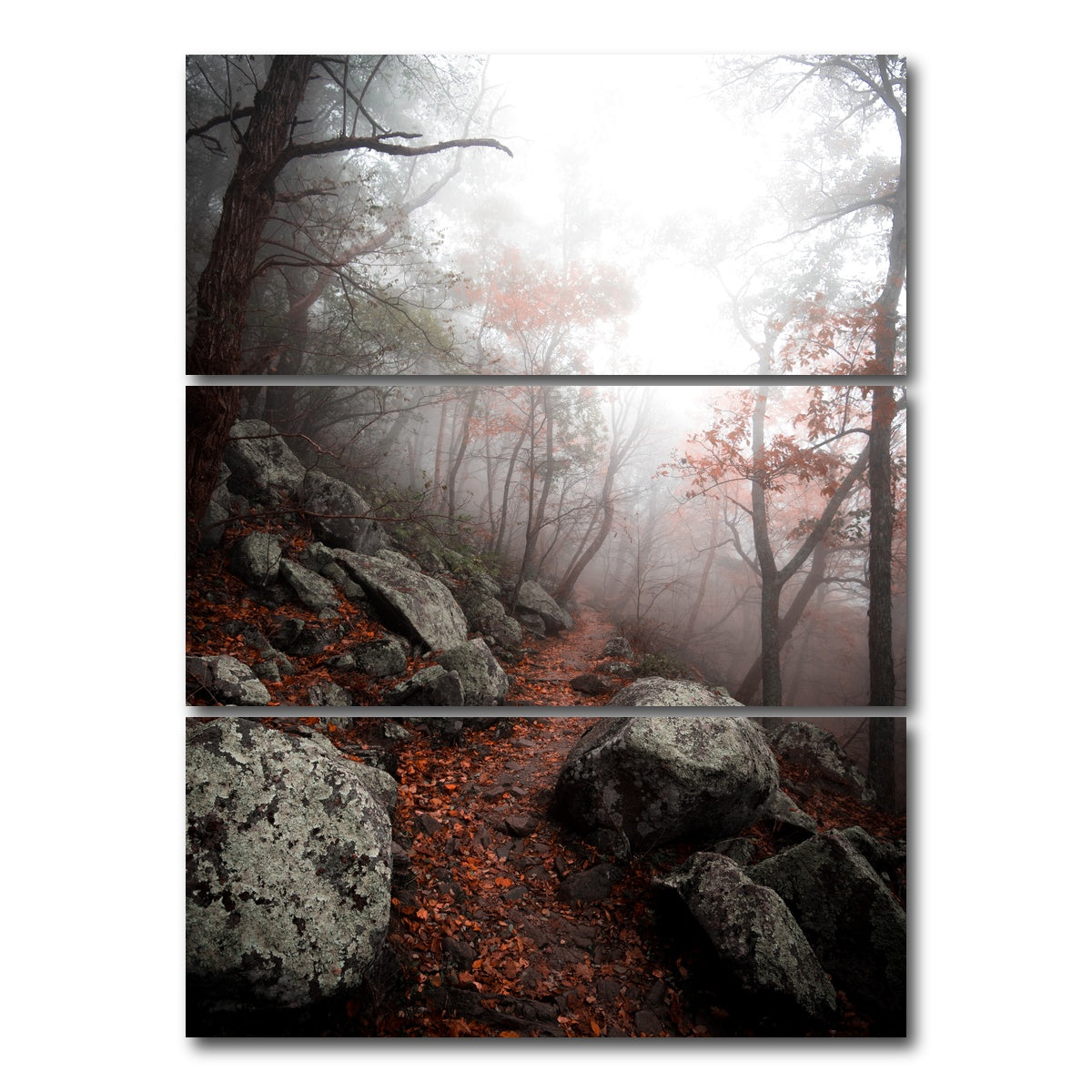 AUTO-MOCKUP WHITE | Moody Forest | 3 Piece | Gallery Wrap Canvas | group=8x18_stacked