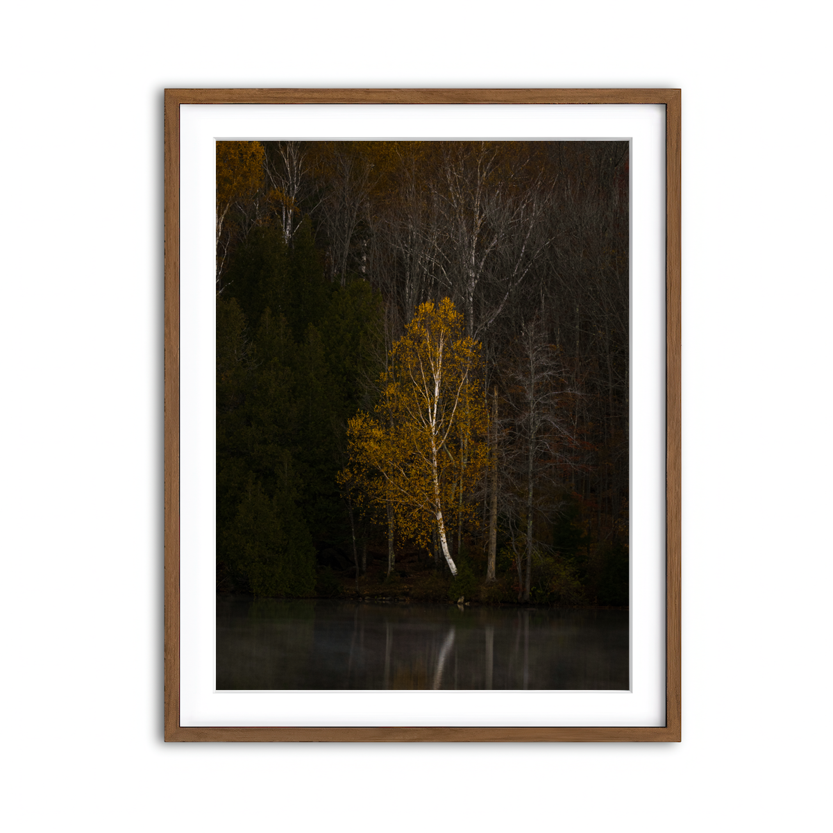 Framed Print 3x4 Walnut