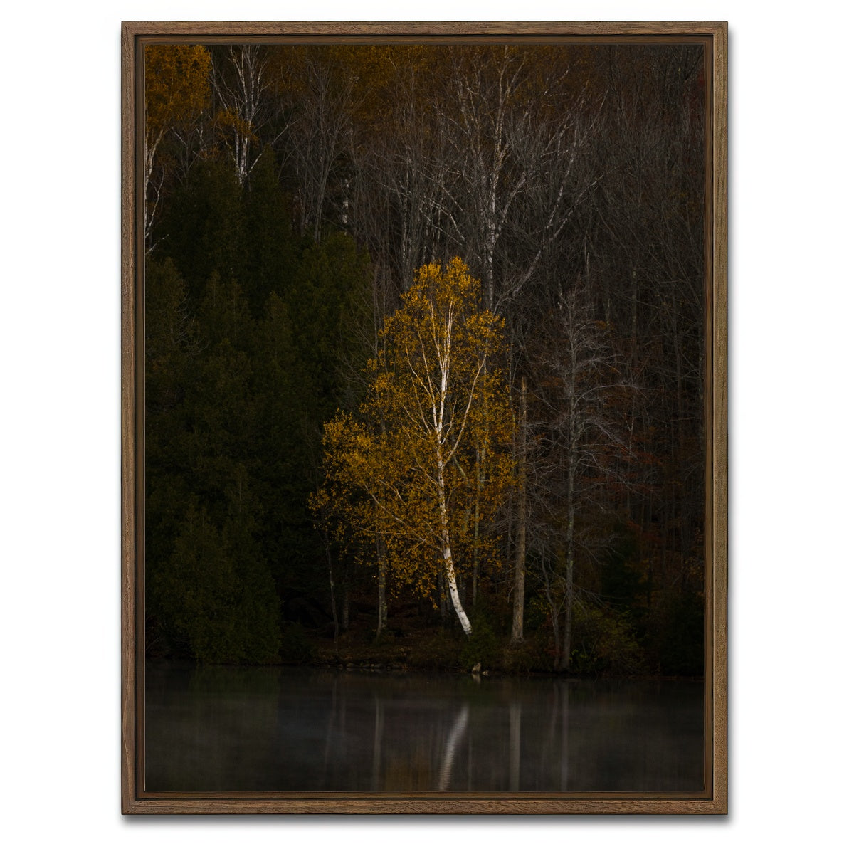 AUTO-MOCKUP WHITE | Moody Vermont Morning | 1 Piece | Walnut Framed Canvas | group=3x4