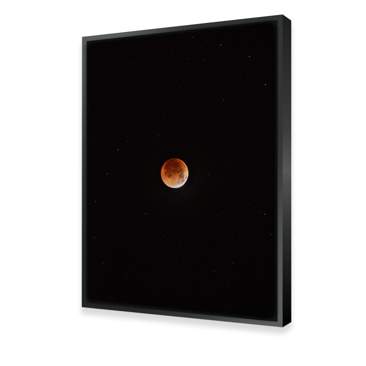 Moon in the Shadow Wall Art